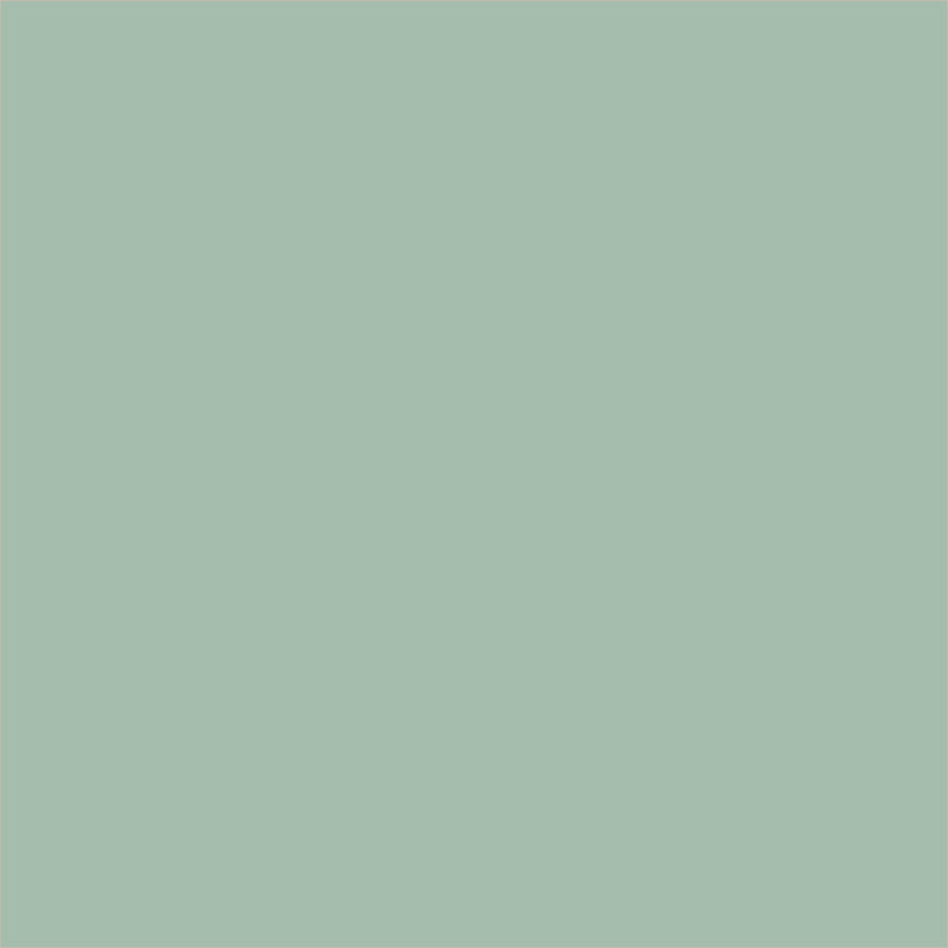 Ruby and Bee Solids - Robins Egg - Windham Fabrics - 1/2 yd