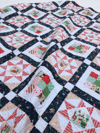 Glad Tidings Quilt in the snow up close - Splendid Speck