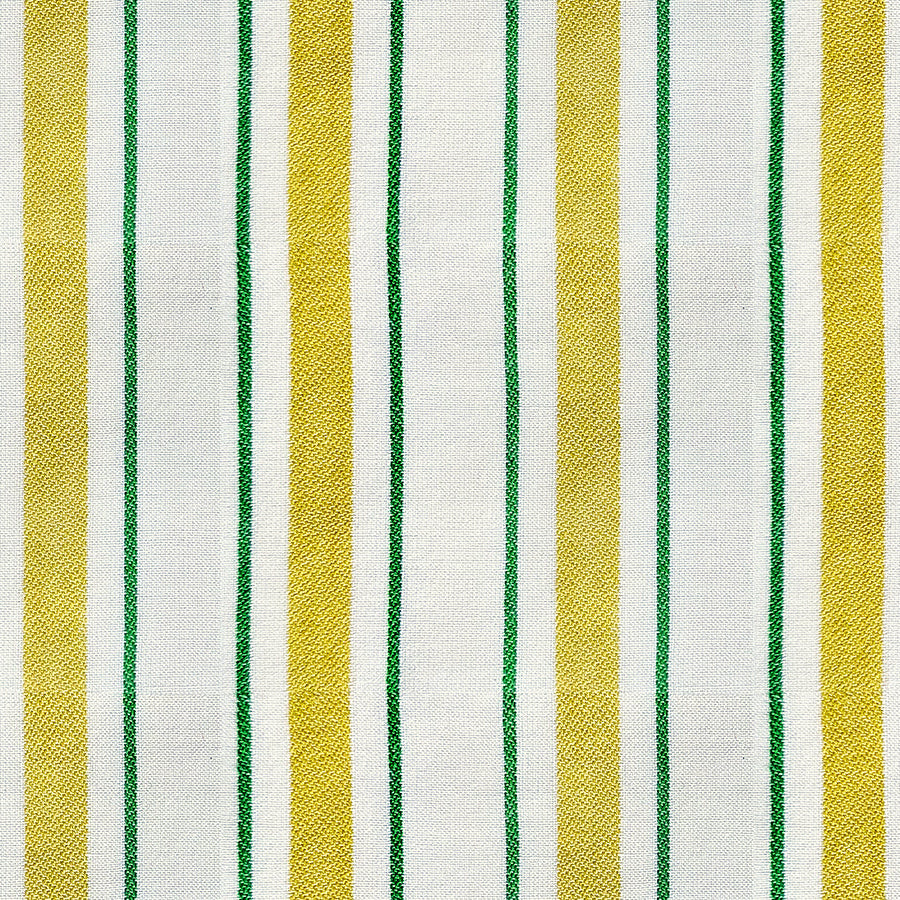Mystic Fable Warp and Weft - Festiva Stripe in Golden - Alexia Abegg - Ruby Star Society - 1/2 yd