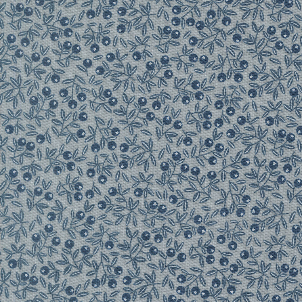 Natures Sketchbook - Pebbly Sky Blueberry - Elena Amo - Moda Fabrics - 1/2 yd